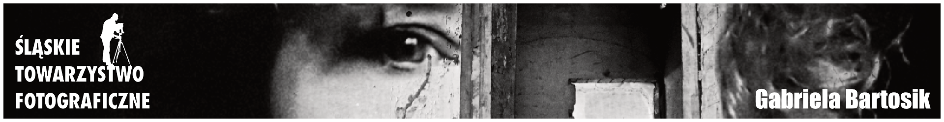 Śląskie Towarzystwo Fotograficzne