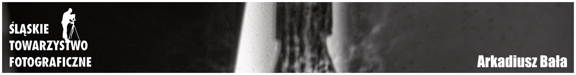 Śląskie Towarzystwo Fotograficzne